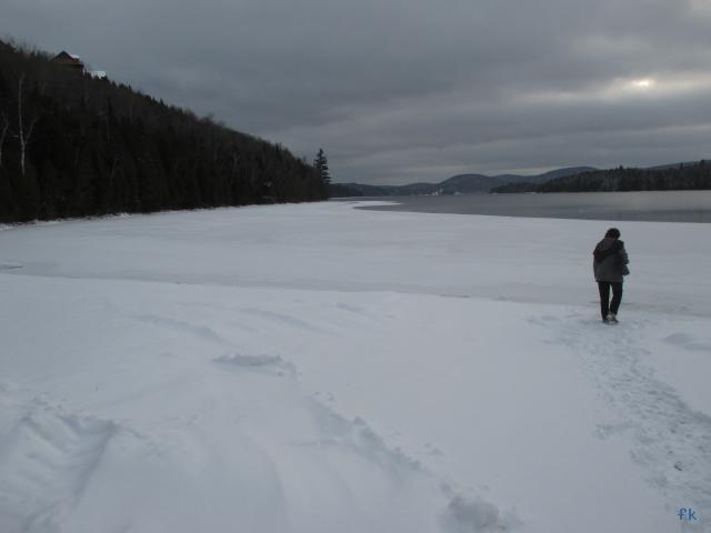 Sacacomie