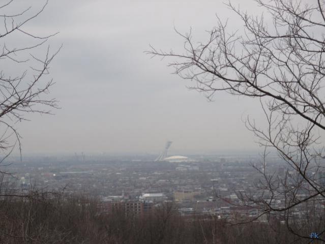 Montréal en hiver